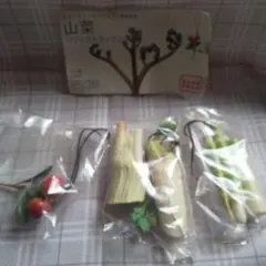 山菜ソフトストラップ2