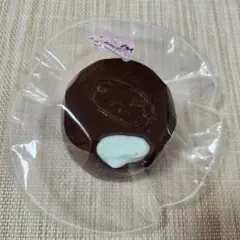 KikiSquishy わんちゃん チョコミント プリン Mサイズ もちごめ
