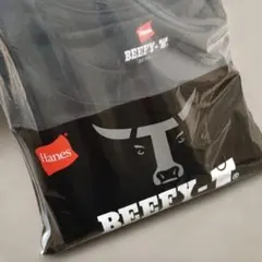 Hanes BEEFY-T Tシャツ （１枚）