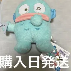 サンリオ ハンギョドン エンジョイサマー ぬいぐるみ 水鉄砲