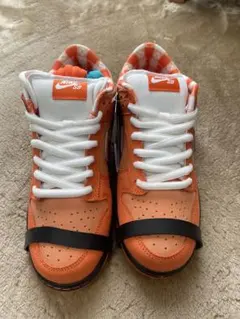 Nike SB Frog ナイキ フロッグ スケートボード スニーカー 未使用品 