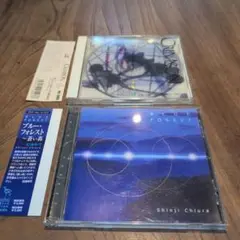 リラクゼーション系　CRIMSON & BLUE FOREST CD 2セット