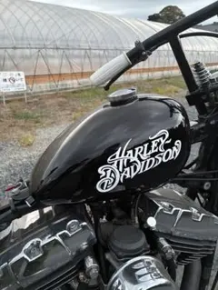Honda エイプ タンク ファイヤーパターン 値下げ交渉可能‼️ - メルカリ