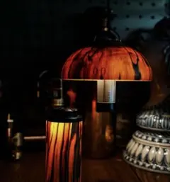 2025年最新】ネルデザインワークス シェードの人気アイテム - メルカリ