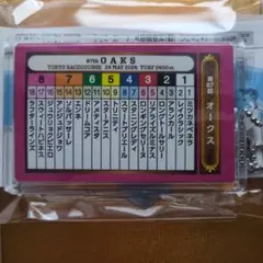 競馬 JRA 2026 優駿牝馬 オークス 想い出馬券ホルダーのサムネイル