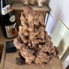 パイプ用の原木（プライヤー用）大きさ、25センチ四方。【床の間の