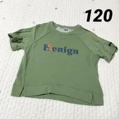 futafuta フタフタ 半袖 Tシャツ 120 ④