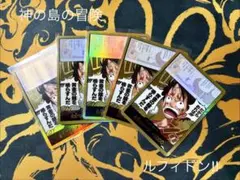 【追加でもう一枚‼︎】ワンピースカード　神の島の冒険　ドンカード　6枚セット！