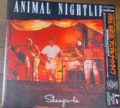 折込帯付LP★アニマル・ナイトライフ★1985年1st『シャングリラ』