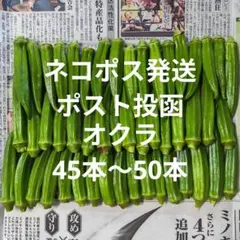 オクラ　45本〜50本のサムネイル