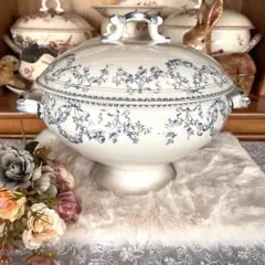 フランス/サルグミンヌMOZART（モーツアルト）バラのガーランドのサラディエ フランス/サルグミンヌMOZART（モーツアルト）バラのガーランド