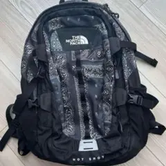 2025年最新】THE NORTH FACE ペイズリー柄リュックの人気