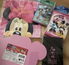 ミニー５点セット　メモ帳　まな板　巾着　鍵付きメモ　付箋　ディズニーリゾート
