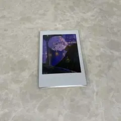 にじさんじ ChroNoiR 葛葉 / ワンマン チェキ