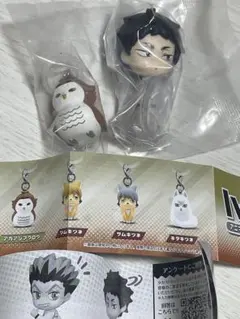 ハイキュー　赤葦京治　ガチャガチャ