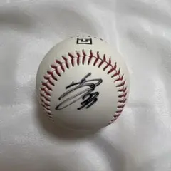 Item thumbnail for item 12a42569-392d-44f1-a275-3a1442d0e32c