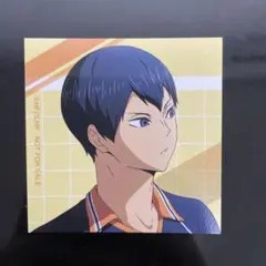 ハイキュー ゴミ捨て場の決戦 アニメイト特典 影山飛雄