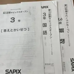 2026年最新】サピックスオープン 3年の人気アイテム - メルカリ