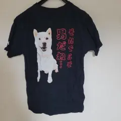 犬プリント Tシャツ 黒　ユニーク　おもしろ