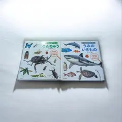 はじめてのずかん　うみのいきもの　こんちゅう　2冊セット　カバー有り