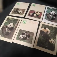 Item thumbnail for item c848ebbc-e184-4cac-87fb-fdf1c422f72b