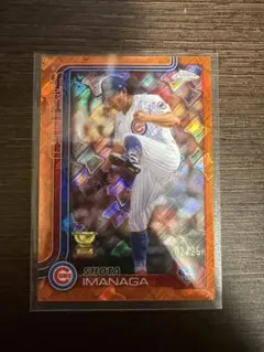 Item thumbnail for item 52d4dc14-5d15-4c83-89cb-a47560dec22c