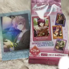 A3！ ぱしゃこれ 夏組 春組 レア 向坂椋 オーロラ箔押し サイン