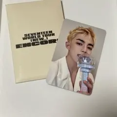 SEVENTEEN NEW 仁川 CARAT ZONE トレカ エスクプス