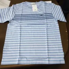 クロコダイル　ストライプ Tシャツ　新品