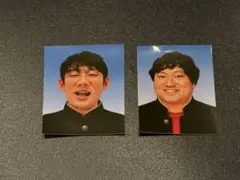 仁木とひわちゃん 証明写真 檜原 ママタルト - メルカリ