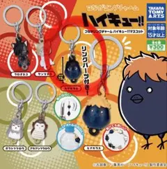 ハイキュー！めじるしアクセサリー ケンマネコ - メルカリ