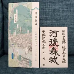 Item thumbnail for item 4844c03f-8a88-4e11-b422-0b42e2affb04