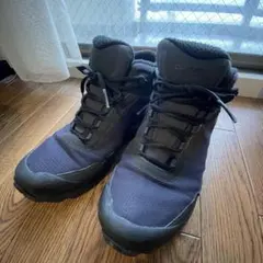 Salomon carhartt wip サロモン　カーハート　シェルターのサムネイル
