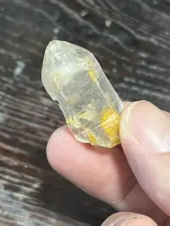 長野県産　ポイントT