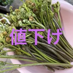 4／26発送　今年そろそろ終わり　わらび700g