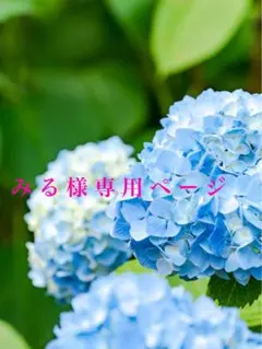 みる様専用ページ