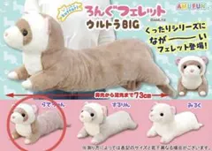 2026年最新】フェレット ぬいぐるみの人気アイテム - メルカリ