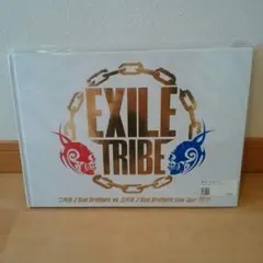 EXILE TRIBE LIVE TOUR 2011 パンフレット＆フラッグ
