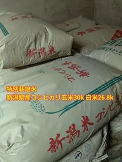 特別栽培新潟県産コシヒカリ30kのサムネイル
