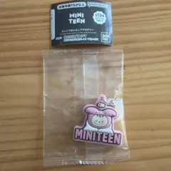 seventeen miniteen めじるし　チャーム