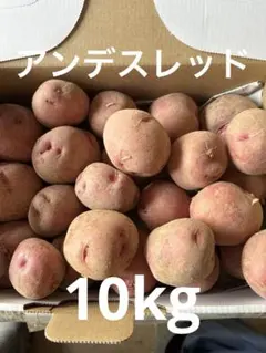 終了直前！長崎県産アンデスレッドじゃがいも20㎏ - メルカリ