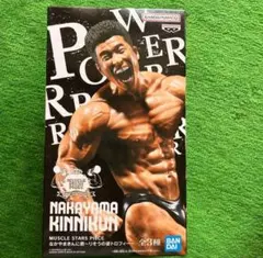 NAKAYAMA KINNIKUN 模型 MUSCLE STARS PIECE