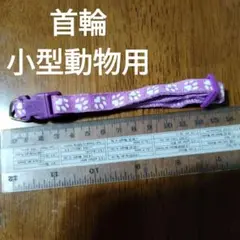 動物用首輪　パープル　長さ調節、取り外し可能