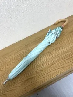 CELINE セリーヌ 傘 ライトブルー 晴雨兼用