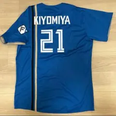 Item thumbnail for item 63bf29e2-39f6-43d1-83e5-e7e38da4d71b