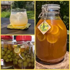 シトラス梅シロップ　200ml×2個のサムネイル