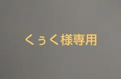 【くぅく様専用】【未使用】ホログラム星柄A5バインダー等2冊