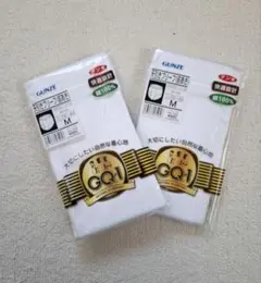 GUNZE グンゼ 天引きブリーフ 前あき Mサイズ 2枚セット