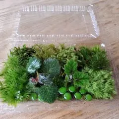 ゆみりん様 リクエスト 3点 まとめ商品