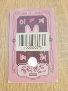 straykids スキズ KARMA リアルタッチ fans チャンビン